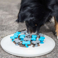 Procyon Antischling Hunde-Napf Bones
