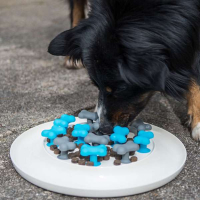 Procyon Antischling Hunde-Napf Bones